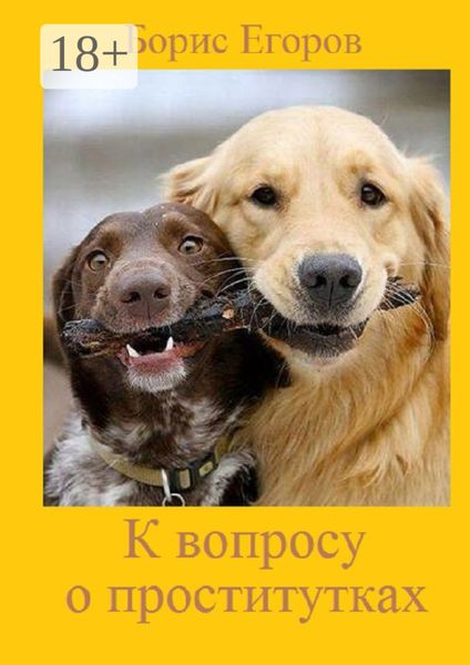 Обложка книги  «К вопросу о проститутках»