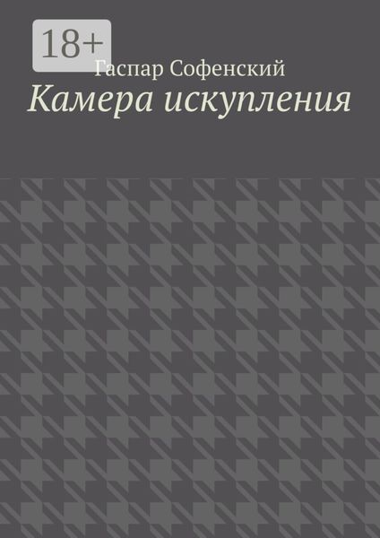 Обложка книги  «Камера искупления»