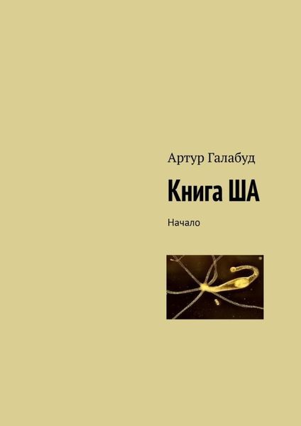 Обложка книги  «Книга ША. Начало»