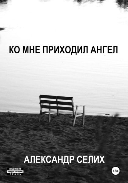 Обложка книги  «Ко мне приходил ангел»