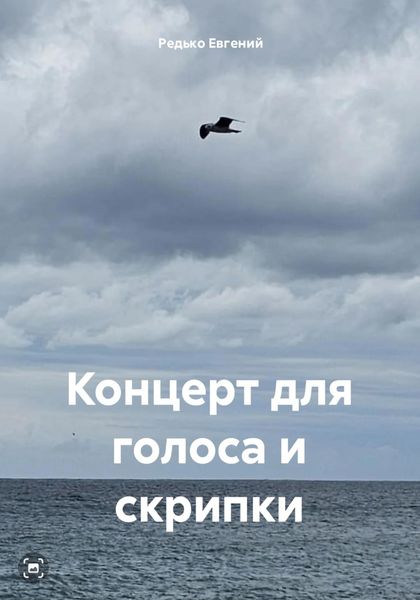 Обложка книги  «Концерт для голоса и скрипки»