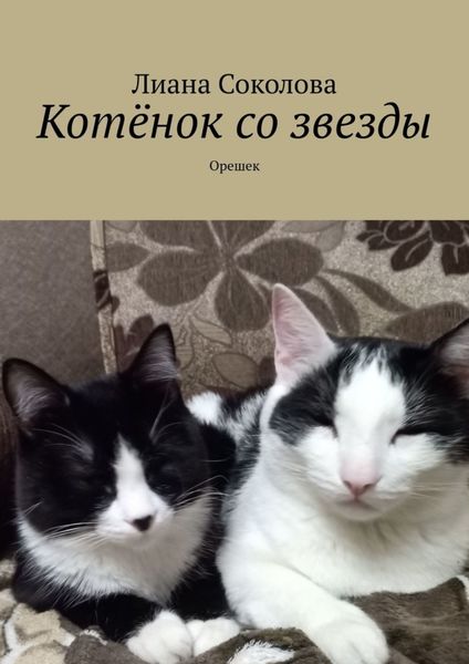 Обложка книги  «Котёнок со звезды. Орешек»