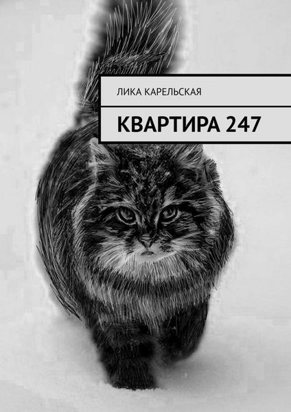 Обложка книги  «Квартира 247»
