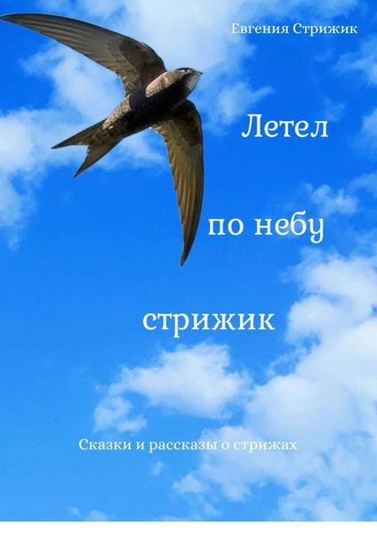 Обложка книги  «Летел по небу стрижик»