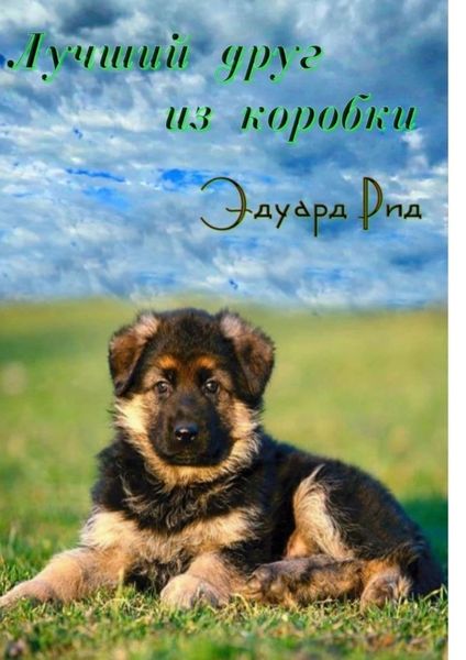 Обложка книги  «Лучший друг из коробки»