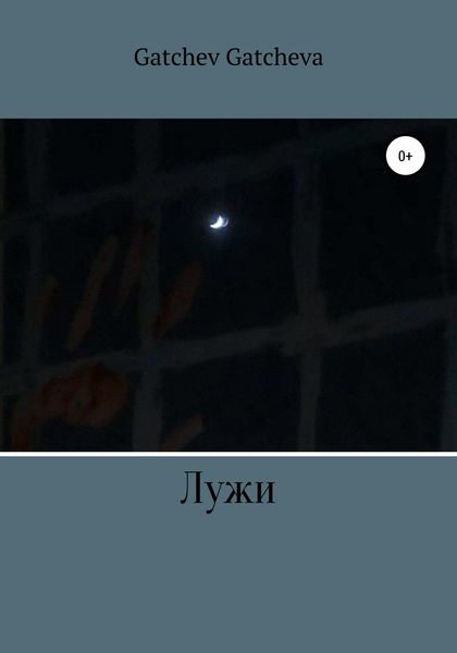 Обложка книги  «Лужи»
