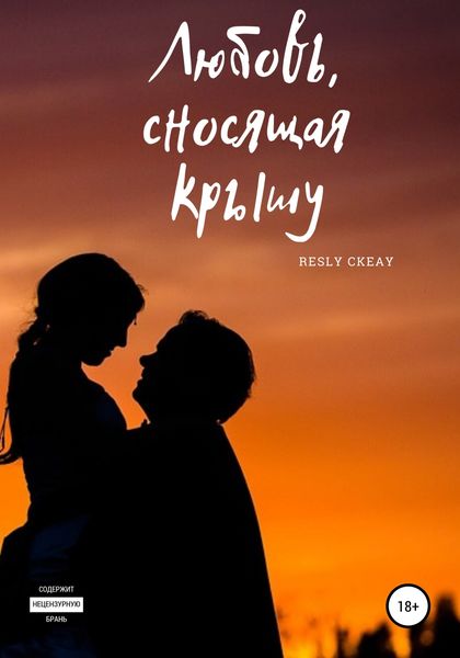 Обложка книги  «Любовь, сносящая крышу»