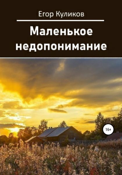 Обложка книги  «Маленькое недопонимание»