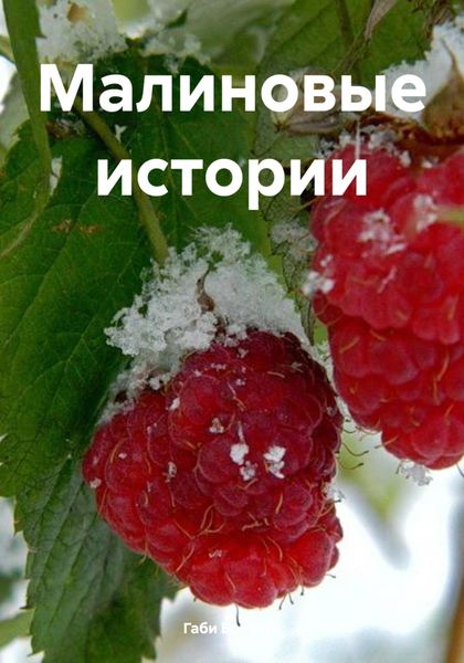 Обложка книги  «Малиновые истории»