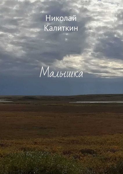 Обложка книги  «Малышка»