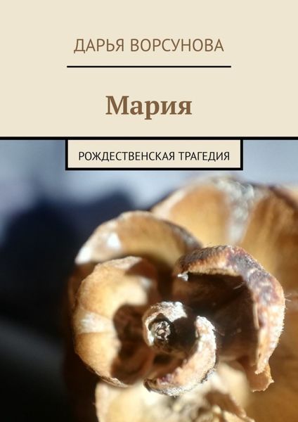 Обложка книги  «Мария. Рождественская трагедия»