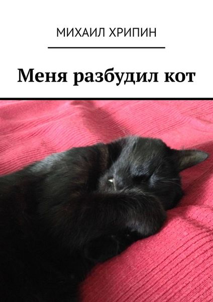 Обложка книги  «Меня разбудил кот»