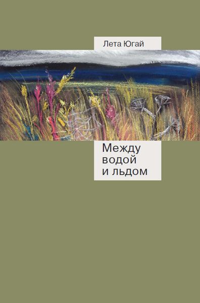 Обложка книги  «Между водой и льдом»