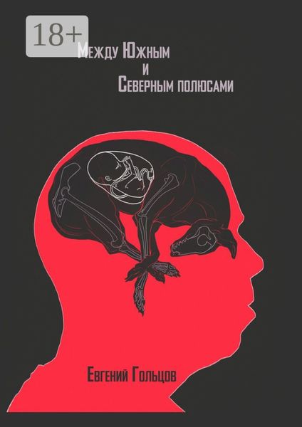 Обложка книги  «Между Южным и Северным полюсами»