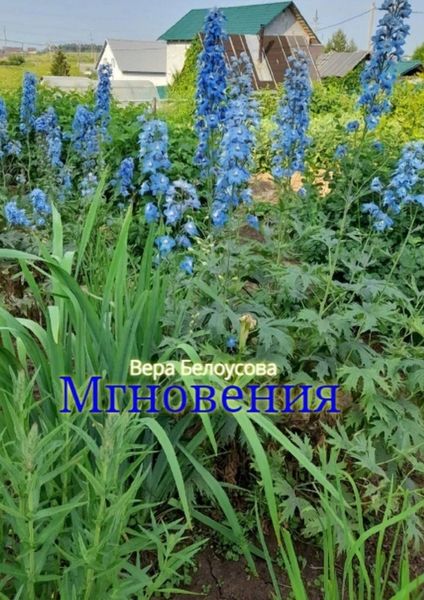 Обложка книги  «Мгновения»