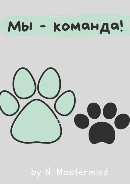 Обложка книги  «Мы – команда!»