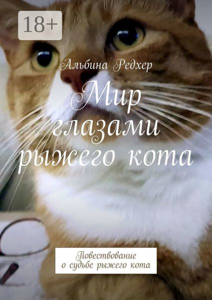Обложка книги  «Мир глазами рыжего кота. Повествование о судьбе рыжего кота»