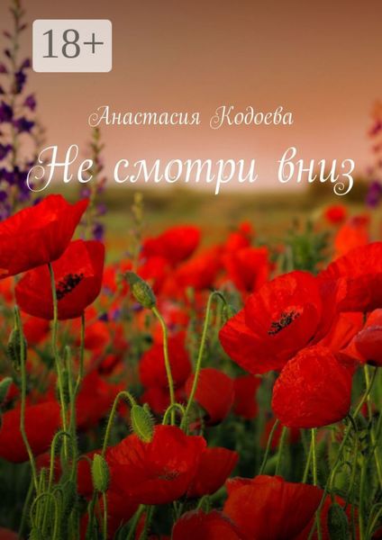 Обложка книги  «Не смотри вниз»