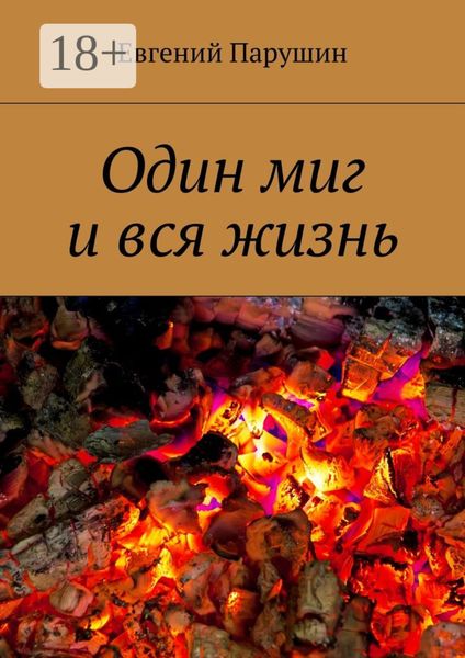 Обложка книги  «Один миг и вся жизнь»