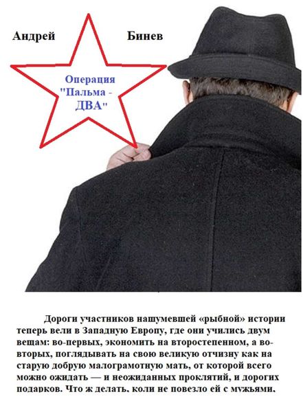 Обложка книги  «Операция «Пальма-два», или Большое Плавание Рыбаков»