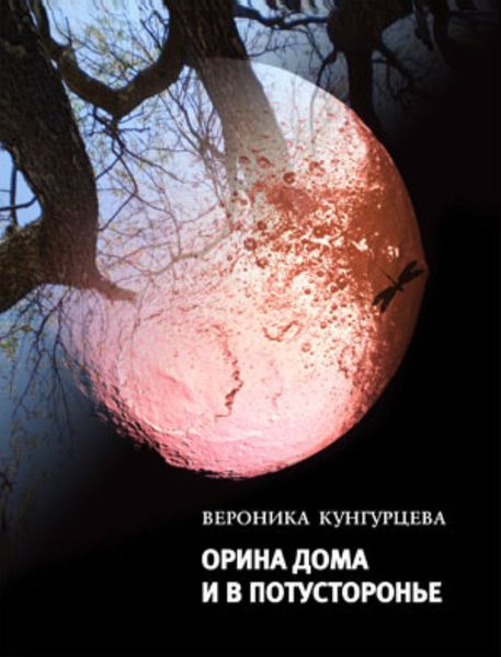 Обложка книги  «Орина дома и в Потусторонье»