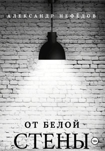 Обложка книги  «От белой стены»