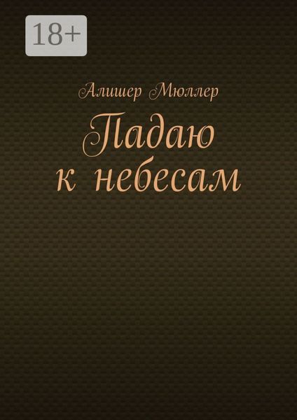 Обложка книги  «Падаю к небесам»