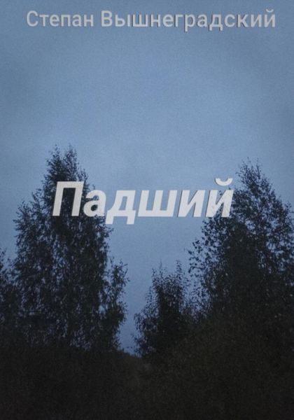 Обложка книги  «Падший»