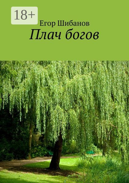 Обложка книги  «Плач богов»