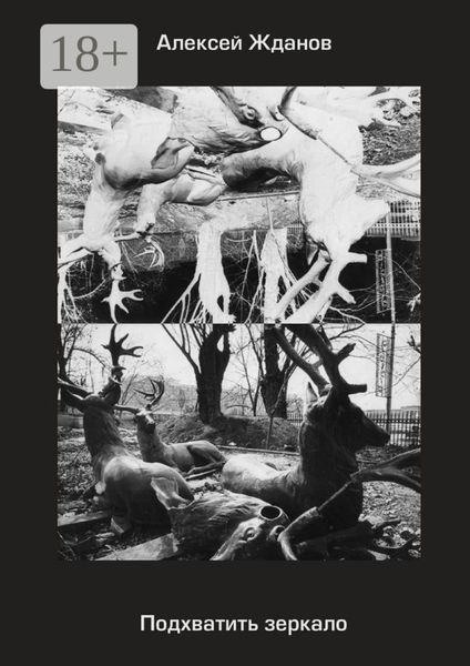 Обложка книги  «Подхватить зеркало. Роман с самим собой»