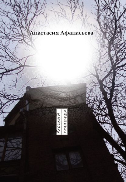 Обложка книги  «Полый шар»