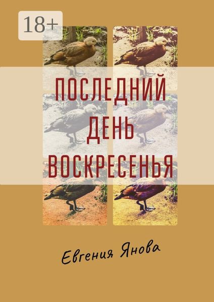 Обложка книги  «Последний день воскресенья»