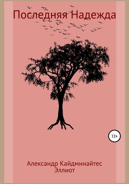 Обложка книги  «Последняя Надежда»