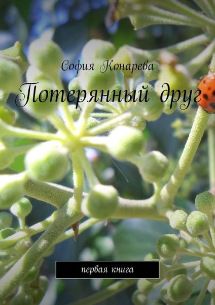 Обложка книги  «Потерянный друг. Первая книга»