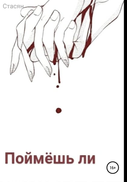 Обложка книги  «Поймёшь ли»