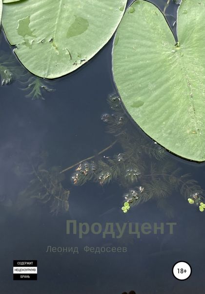 Обложка книги  «Продуцент»