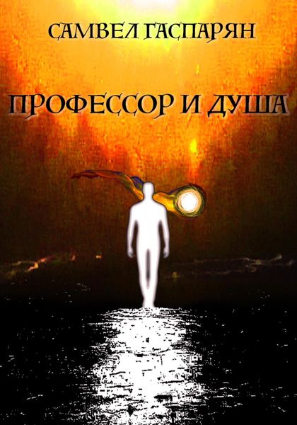 Обложка книги  «Профессор и Душа»