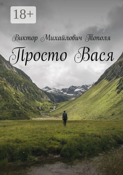 Обложка книги  «Просто Вася»