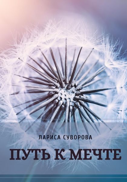 Обложка книги  «Путь к мечте»