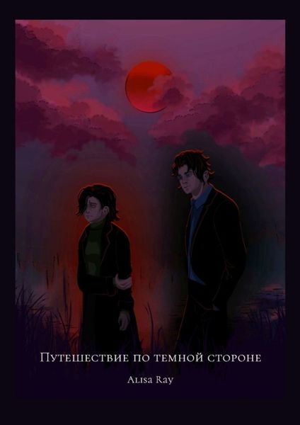 Обложка книги  «Путешествие по Тёмной стороне»