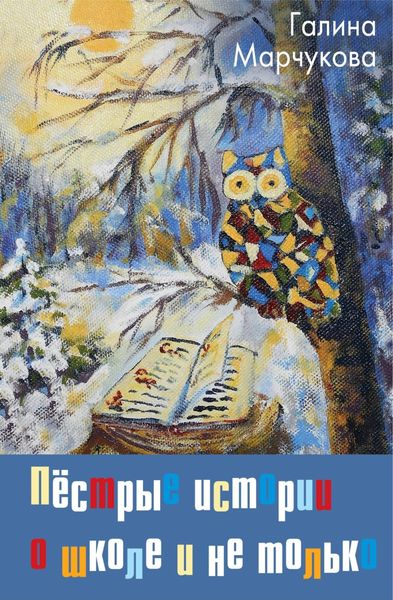 Обложка книги  «Пёстрые истории о школе и не только…»