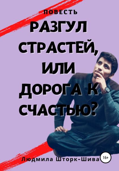 Обложка книги  «Разгул страстей, или Дорога к счастью»