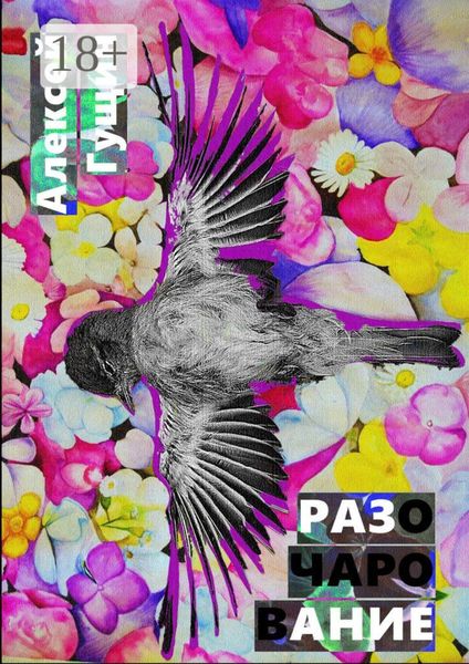 Обложка книги  «Разочарование. Книга о поисках вечных идеалов»