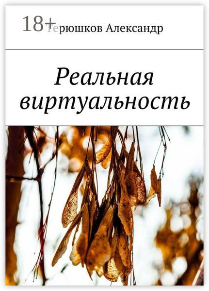 Обложка книги  «Реальная виртуальность»