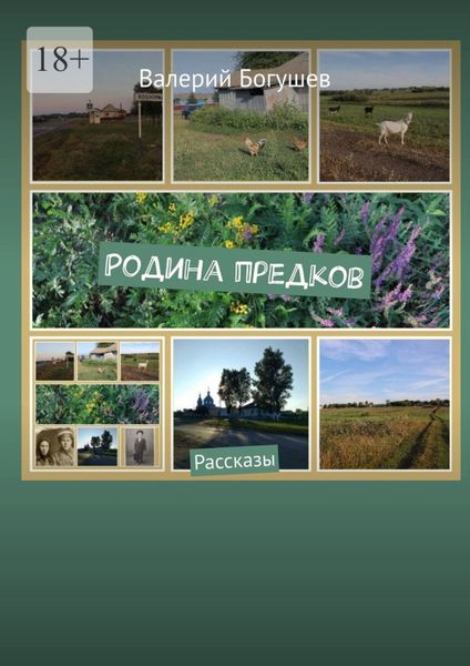 Обложка книги  «Родина предков. Рассказы»