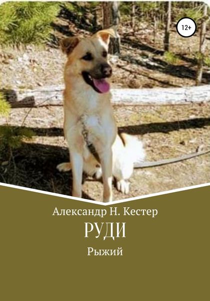Обложка книги  «Руди»