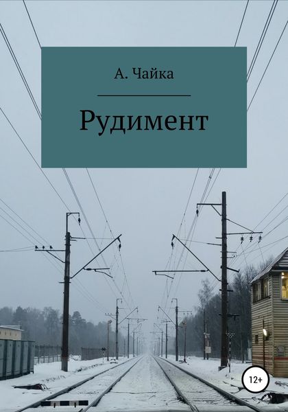 Обложка книги  «Рудимент»
