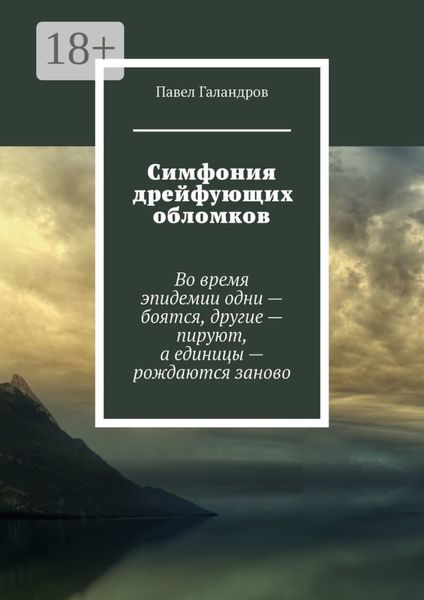 Обложка книги  «Симфония дрейфующих обломков»