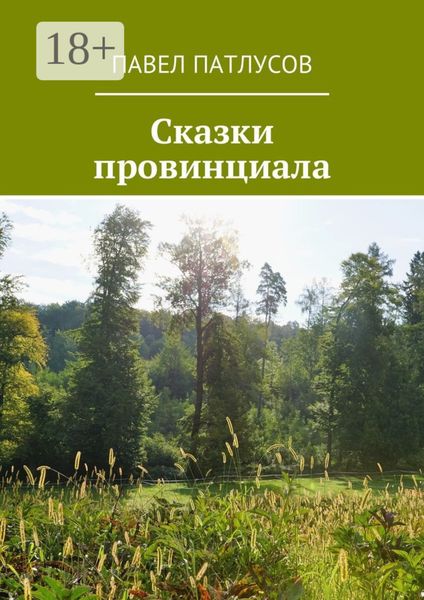 Обложка книги  «Сказки провинциала»