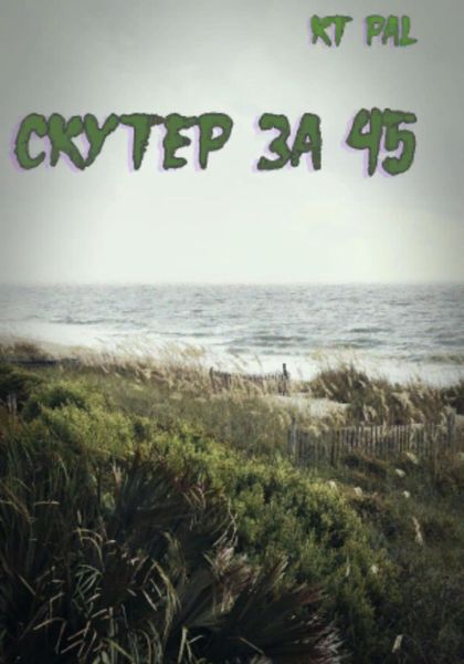 Обложка книги  «Скутер за 45»
